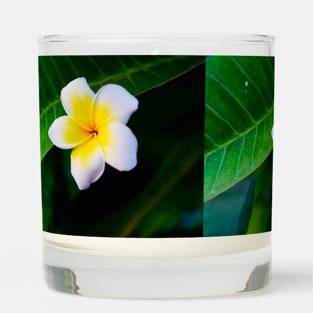plumeria scented candle (Front)