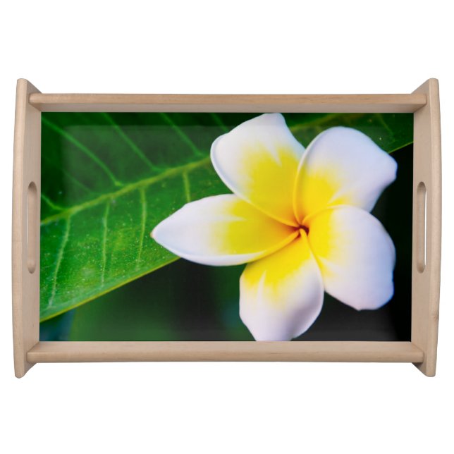 Plumeria Serving Tray (Front)