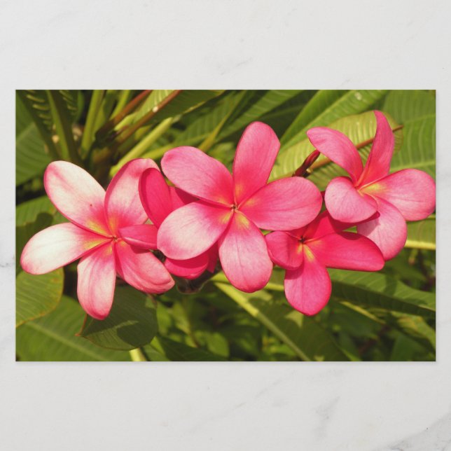 Plumeria Stationery (Front)