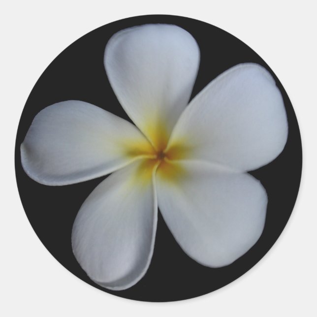 Plumeria Stickers (Front)