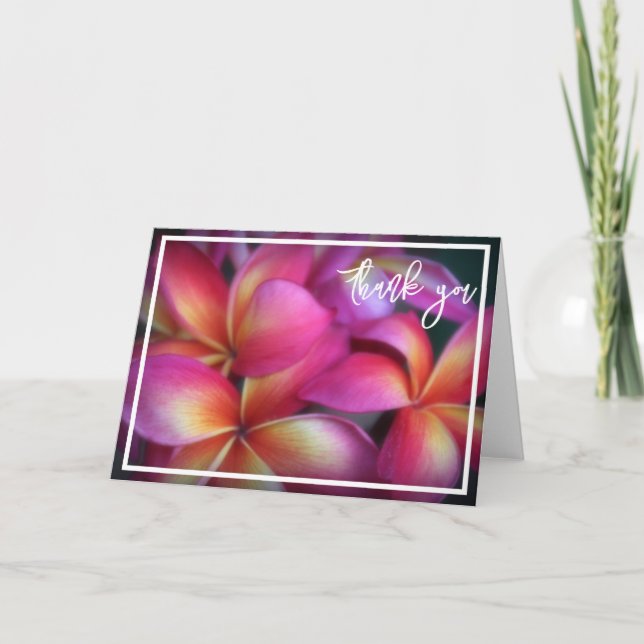 Plumeria Thank You Note Card (Front)