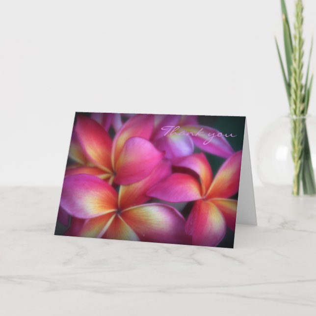 Plumeria Thank You Note Card (Front)