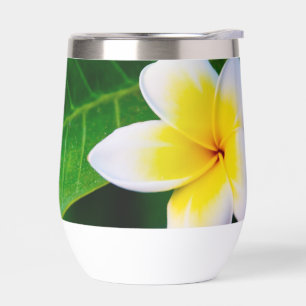 plumeria thermal wine tumbler