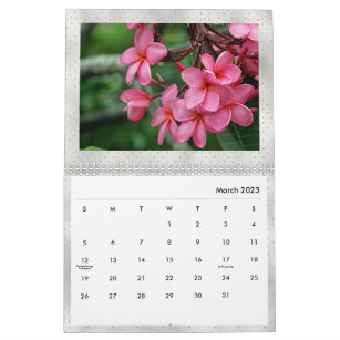 Plumeria Tropical Flowers Photo  Calendar