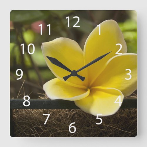 Plumeria Wall Clock