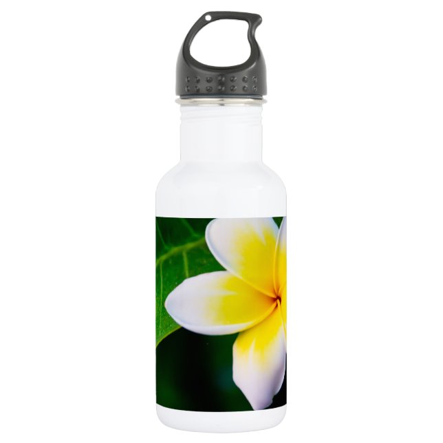 plumeria water bottle (Front)