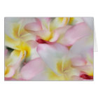 Plumeria Watercolor Card