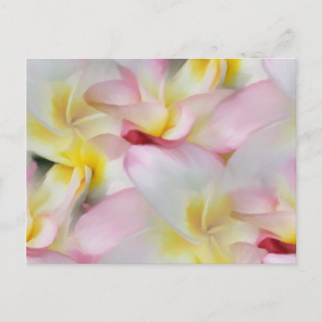 Plumeria Watercolor Postcard (Front)