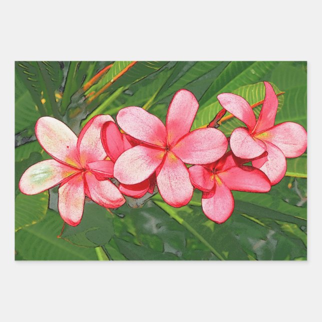 plumeria wrapping paper sheets (Front 3)