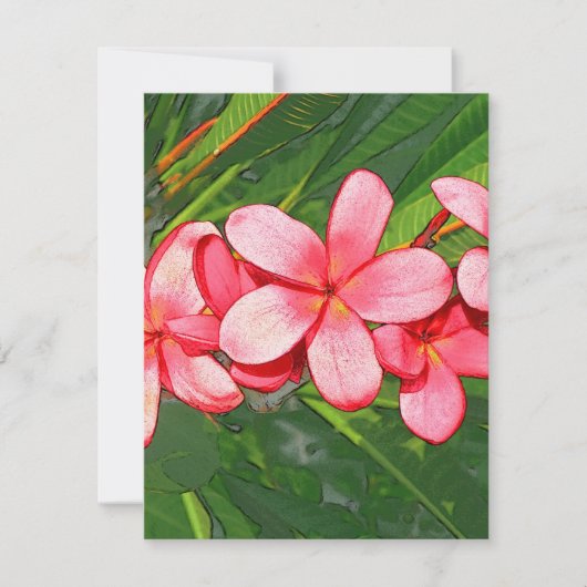 Plumerias (Front)