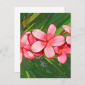 Plumerias (Front/Back)