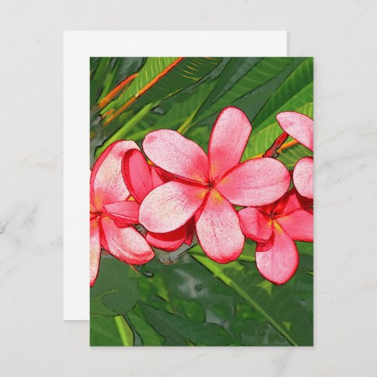 Plumerias (Front/Back)