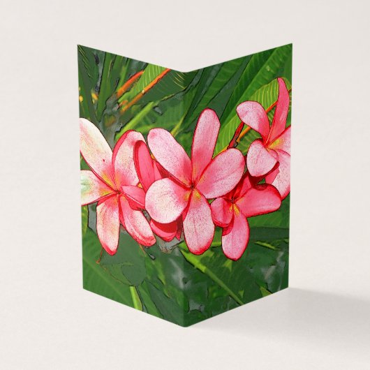 Plumerias (Outside)