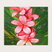 Plumerias (Outside Unfolded)