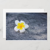 Plumerias (Front/Back)