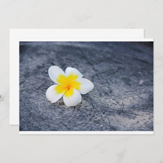 Plumerias (Front/Back)