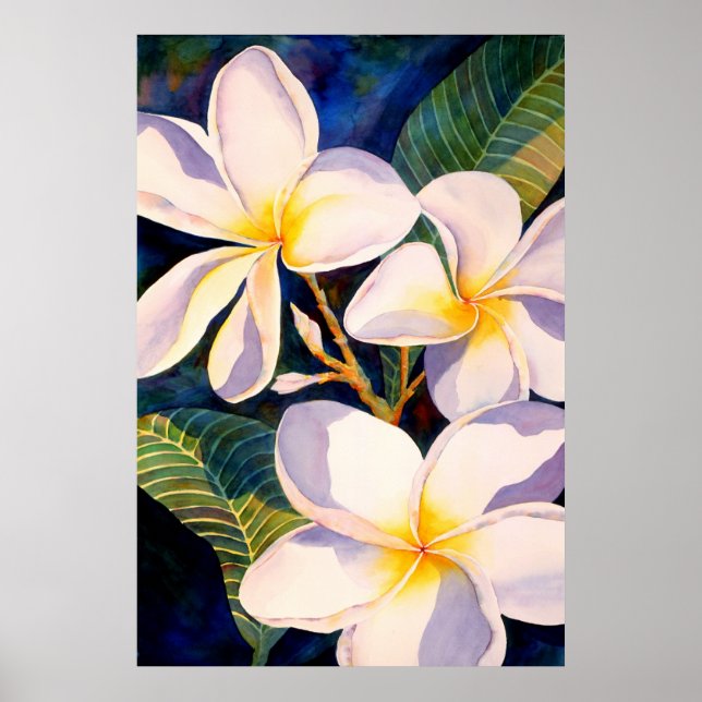 Plumerias Aglow Poster (Front)