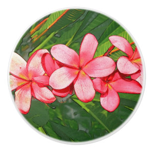 Plumerias Ceramic Knob