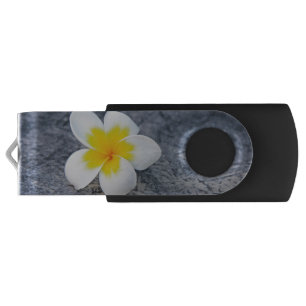 Plumerias Flash Drive