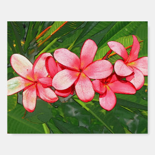 Plumerias Foam Board