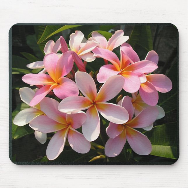 Plumerias in Bloom Mouse Pad (Front)