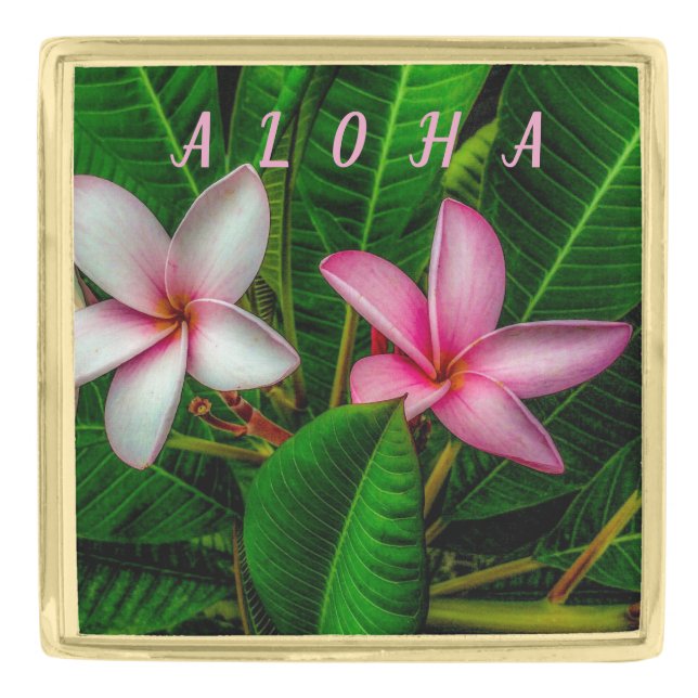 Plumerias in White and Pink Lapel Pin (Front)