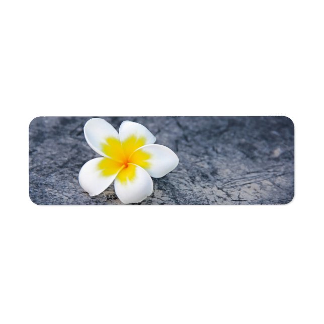Plumerias Label (Front)