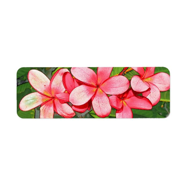 Plumerias Label (Front)