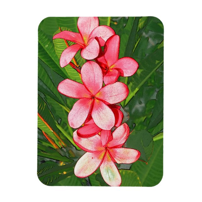 Plumerias Magnet (Vertical)