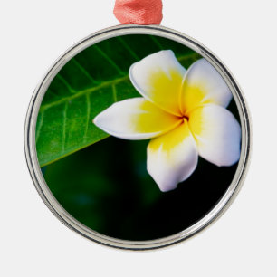 Plumerias Metal Ornament
