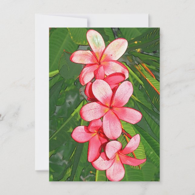 Plumerias Note Card (Front)