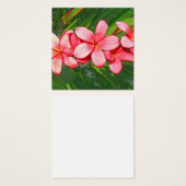 Plumerias pink (Front & Back)
