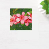 Plumerias pink (Desk)