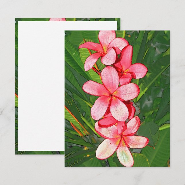 Plumerias pink  note card (Front/Back)