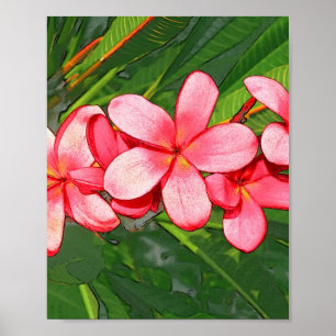 Plumerias Poster