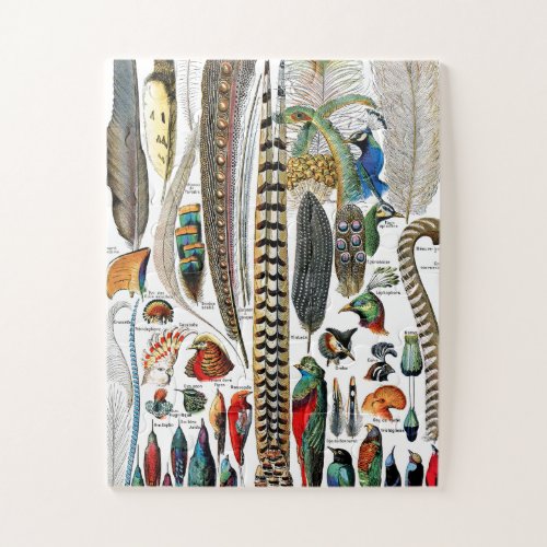 Plumes by Adolphe Millot Jigsaw Puzzle