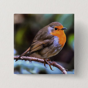 Plump Robin Perched On A Branch Wildlife Art Button