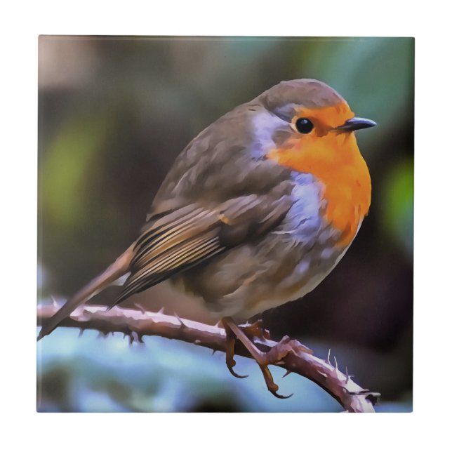 Plump Robin Perched On A Branch Wildlife Art Ceramic Tile (Front)