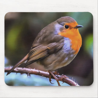 Plump Robin Perched On A Branch Wildlife Art Mouse Pad