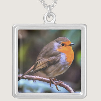 Plump Robin Perched On A Branch Wildlife Art Silver Plated Necklace