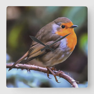 Plump Robin Perched On A Branch Wildlife Art Square Wall Clock