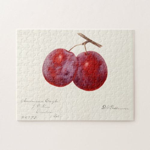 Plums Prunus Domestica Fruit Watercolor Painting Jigsaw Puzzle
