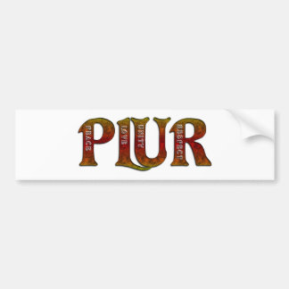 PLUR (Fire) Bumper Sticker
