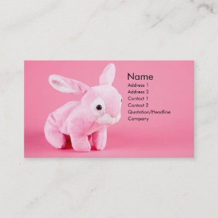 Plush Bunny Profile Card