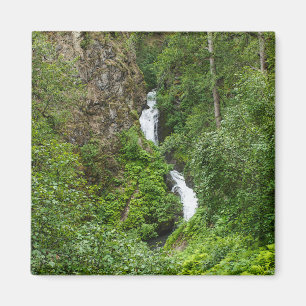 Plush Thunderbird Painterly Magnet