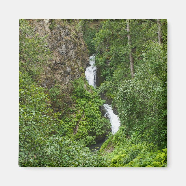 Plush Thunderbird Painterly Magnet (Front)