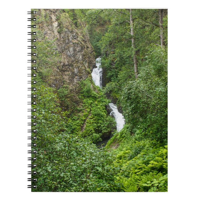 Plush Thunderbird Painterly Notebook (Front)