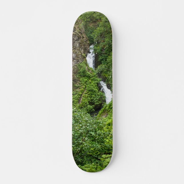 Plush Thunderbird Painterly Skateboard (Front)