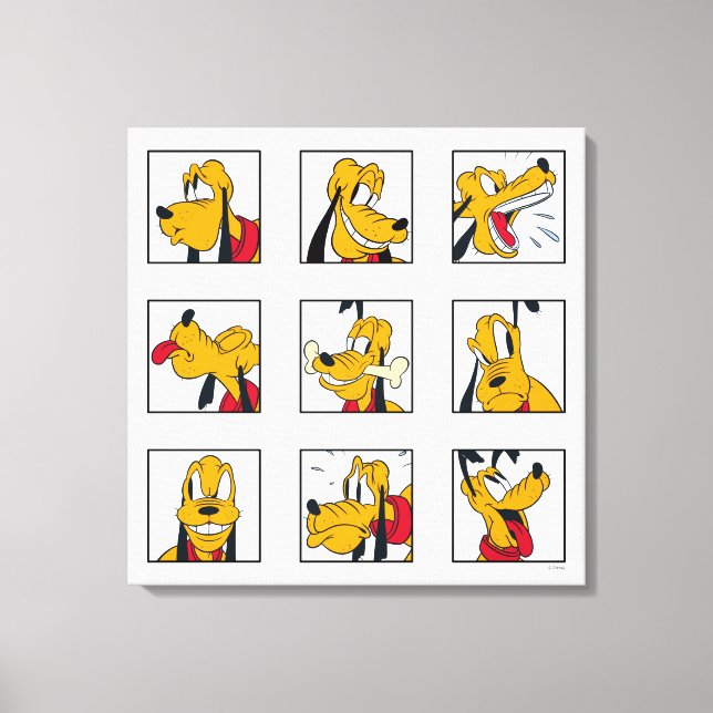 Pluto Expression Grid Canvas Print (Front)