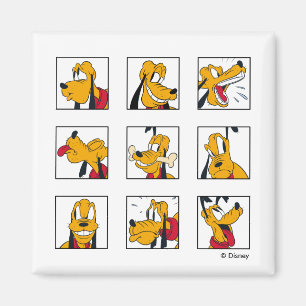 Pluto Expression Grid Magnet